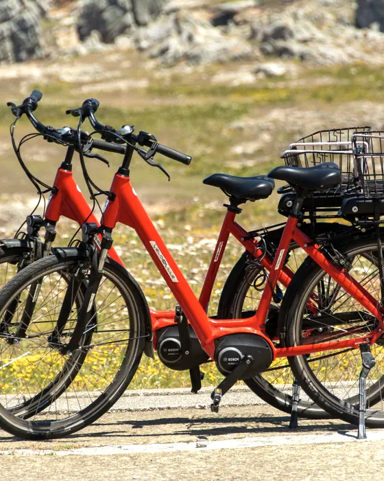 E-Bike auf einem Radweg zwischen Weinbergen