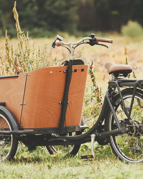 Elektrisches Lastenrad mit Transportbox vor einer Häuserzeile